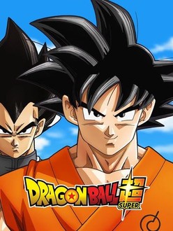Dragon Ball Super – L'Intégrale Coffret – Épisodes 1-131 (3 Box) – Versione Francese – Serie Anime Completa