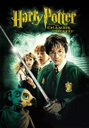 Harry Potter and the Chamber of Secrets poster image