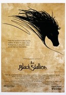 The Black Stallion poster image