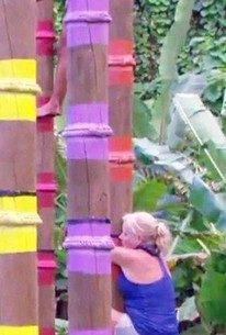 Australian Survivor: Season 3, Episode 17 | Rotten Tomatoes