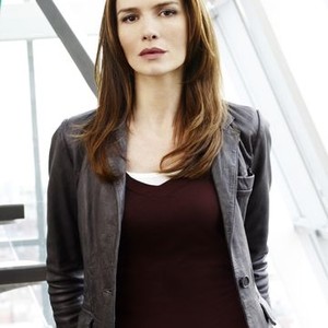 Saffron Burrows as Detective Serena Stevens