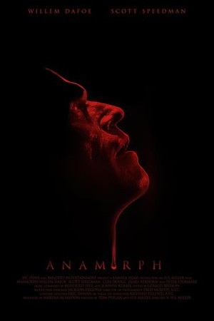 Anamorph poster