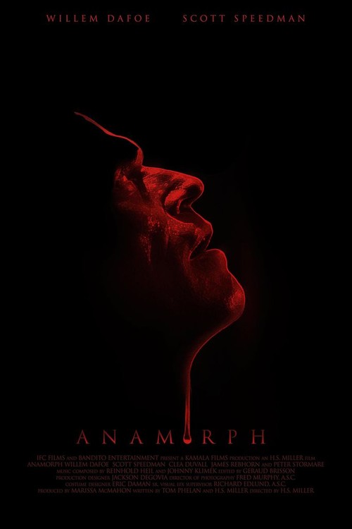 Anamorph poster