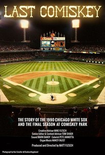 Comiskey Park No. 1