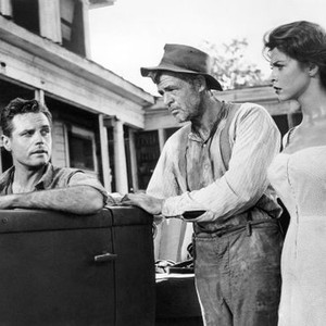 GOD'S LITTLE ACRE, from left: Jack Lord, Robert Ryan, Tina Louise, 1958