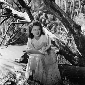 SWAMP WATER, Anne Baxter, 1941, ©20th Century Fox, TM & Copyright,