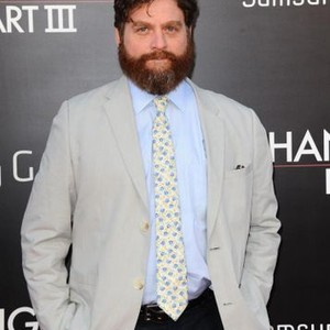 Zack Galifianakis at arrivals for THE HANGOVER: PART III Premiere, Westwood Village Theater, Los Angeles, CA May 20, 2013. Photo By: Dee Cercone/Everett Collection