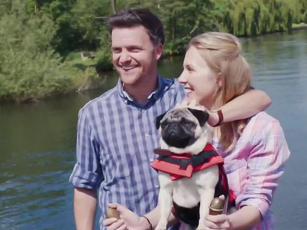 Patrick the Pug | Rotten Tomatoes