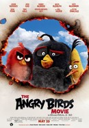 The Angry Birds Movie poster image