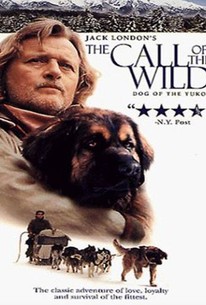 Jack London S The Call Of The Wild 1997 Rotten Tomatoes