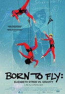 Born to Fly: Elizabeth Streb vs. Gravity poster image