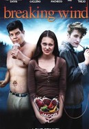 Breaking Wind poster image