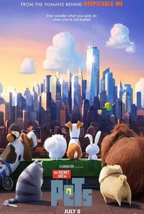 The Secret Life of Pets (2016) - Rotten Tomatoes