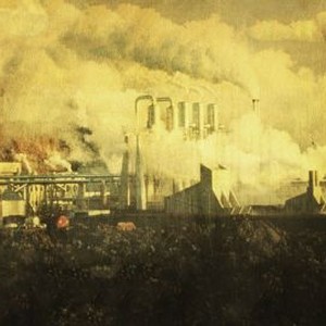 Taking Back Our Town photo 11