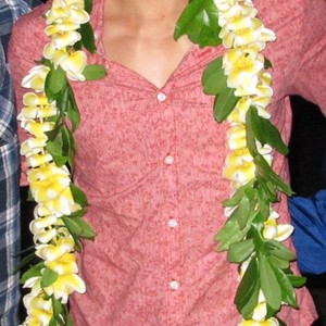 Hawaii Five-O, Daniel Dae Kim, 'Ua Hala (Death in the Family)', Season 2, Ep. #23, 05/14/2012, ©CBS