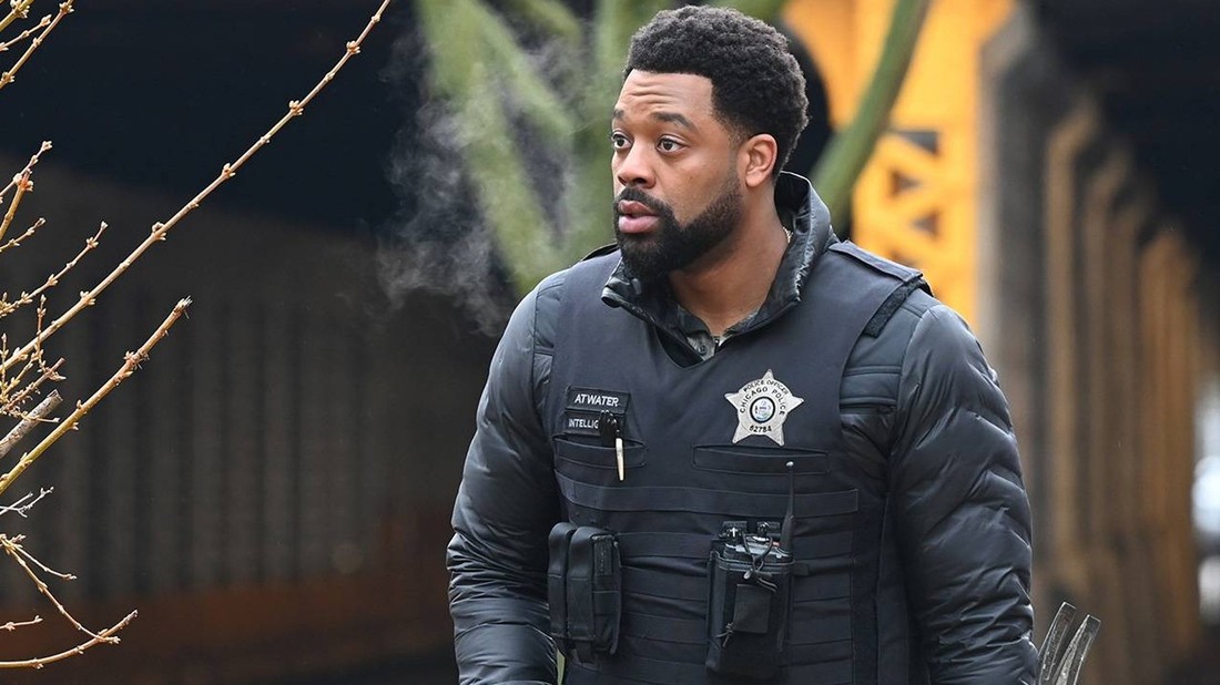 Chicago P.D. Season 10 Episode 21 Rotten Tomatoes