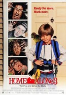Home Alone 3 poster image