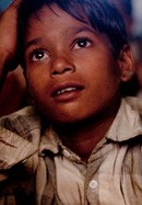 The Cinema Travellers poster image