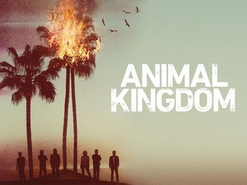 Season 3 animal kingdom amazon prime store
