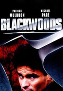 Blackwoods poster image