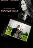 The Perfect Child poster image