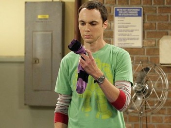 The Big Bang Theory (season 2) - Wikipedia