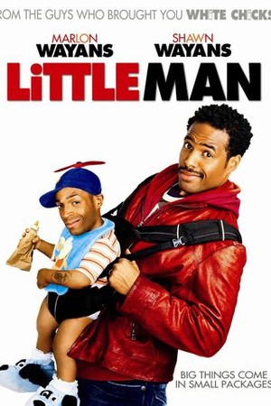 Little Man poster