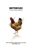 Butterflies poster image