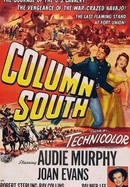 Column South poster image