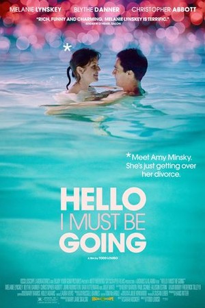 Hello I Must Be Going poster