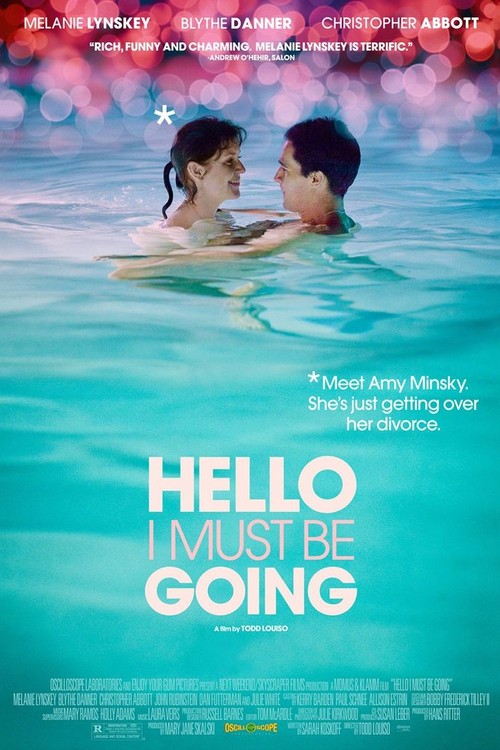 Hello I Must Be Going poster