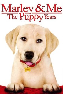 Watch trailer for Marley & Me: The Puppy Years