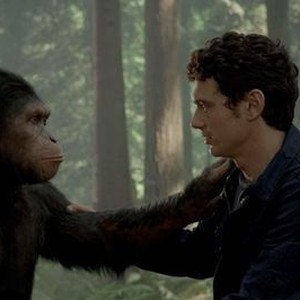 "Rise of the Planet of the Apes photo 11"