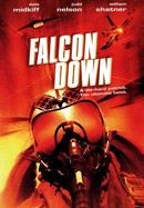 Falcon Down poster image