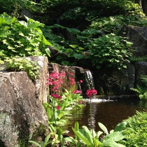 "The Gardener photo 1"