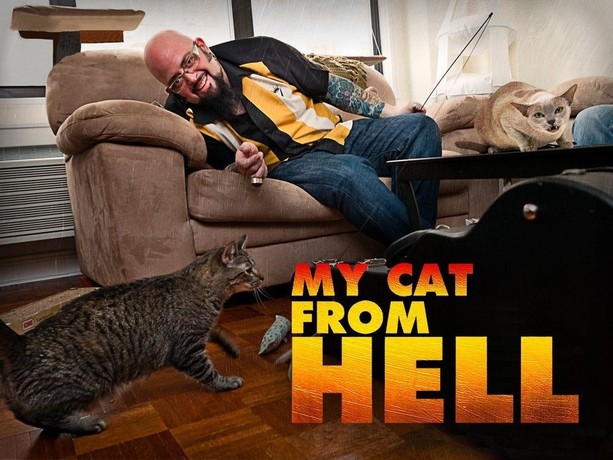 My Cat From Hell Season 2 Episode 2 Rotten Tomatoes