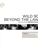 Beyond the Law poster image