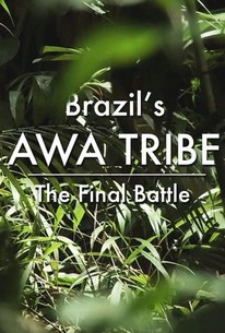 Brazil's Awa Tribe: The Final Battle | Rotten Tomatoes