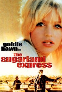 Poster for The Sugarland Express