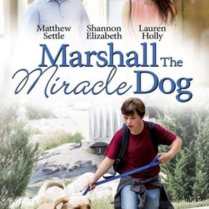 Marshall the Miracle Dog photo 3