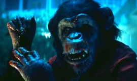 Primate - Trailers & Videos | Rotten Tomatoes