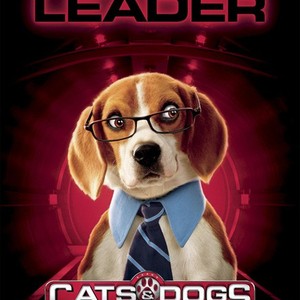 Cats & Dogs - Rotten Tomatoes