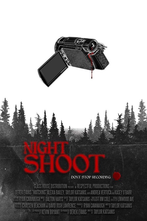 Night Shoot poster