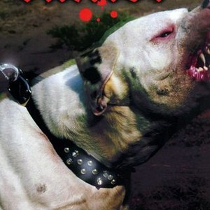 Baxter (1989)