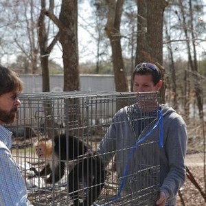 Jarrett Joyce - Rotten Tomatoes