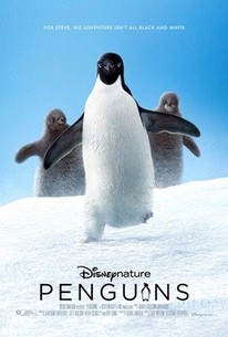 Watch trailer for Penguins