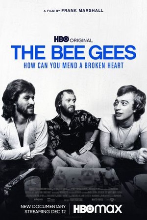 The Bee Gees: How Can You Mend a Broken Heart poster