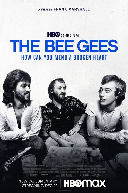 The Bee Gees: How Can You Mend a Broken Heart poster