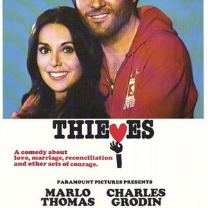 Thieves photo 1