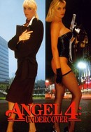 Angel 4: Undercover poster image